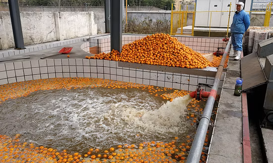 Linha completa de processamento de suco de laranja e máquinas de produção de cítricos